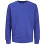 Produkt Jack & Jones Sweat col rond unisexe surf_the_web_blue