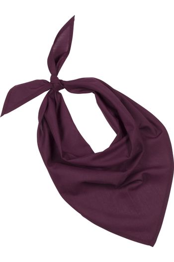 Image produit Fiesta - Bandana
