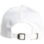 flexfit Stripe Dad Hat white/fire_red/green