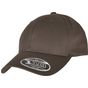 flexfit 110 Curved Visor Snapback dark_grey