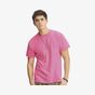 Comfort colors Adult Tee
