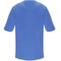 Roly WRK Panacea bleu_lab