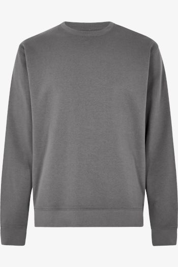 Regular Fit Sweatshirt
