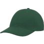 Atlantis Liberty Six bottle_green