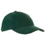 L-merch Heavy Brushed Cap bottle_green
