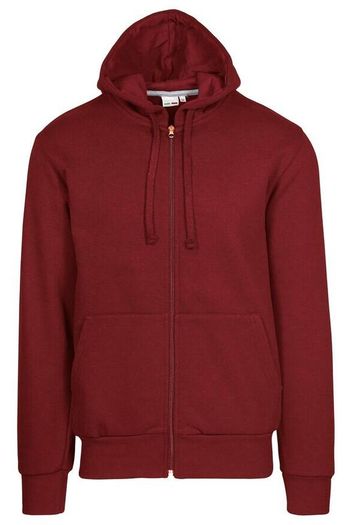 Image produit Sweat à capuche zippée