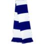 Result Team Scarf royal/white