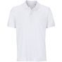 Sol's Pegase blanc