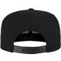 flexfit Cork Snapback black