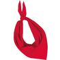 K-up Fiesta - Bandana red
