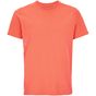Sol's Legend orange_pop