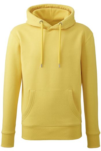 Image produit Sweat à capuche Anthem pour homme