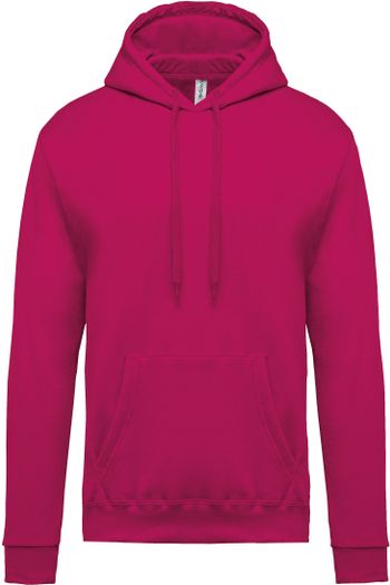 Image produit Sweat-shirt capuche homme 