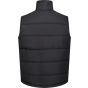 Regatta Men's Altoona Insulated Quilted Gilet black