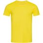 Stedman Ben Crew Neck daisy_yellow