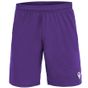 Macron Mesa hero short purple