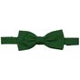 Velilla Noeud papillon green