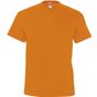 Sol's Victory orange