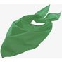 Sol's Bandana vert_prairie