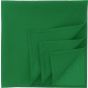 Atlantis BANDANA GOAL-S green