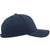 flexfit Curved Classic Snapback navy