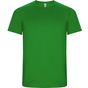 Roly Sport Imola vert_fougere