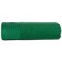 The One Towelling Classic Towel green