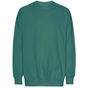 Tiger Cotton Oversized Sweatshirt teal
