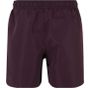 New Morning Studios Basic swimshorts plum_purple