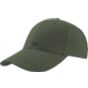 Atlantis Zoom Cap green