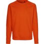 Neutral Unisex Sweatshirt orange