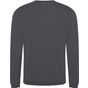 Pro RTX Sweat Pro solid_grey