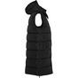 Roly Reine noir