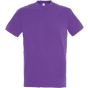 Sol's Imperial violet_clair