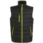 Regatta Men's Navigate Thermal Gilet black/lime_green