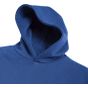 Russell Authentic Sweat capuche enfant bright_royal