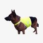 Korntex Gilet de signalisation pour chien