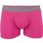 Kariban Boxer fuchsia