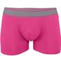 kariban Boxer fuchsia