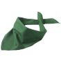 Myrtle Beach Triangular Scarf dark_green