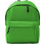 Roly Marabu vert_fougere