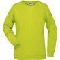 James&Nicholson Ladies´ Sweat acid_yellow