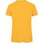 B&C Collection Inspire t /men_° gold