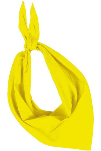 Image produit Fiesta - Bandana