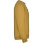 Roly Clasica curry_yellow