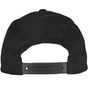 flexfit Flexfit 110 Organic Cap black