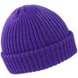 result Whistler Hat purple