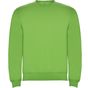 Roly Clasica vert_oasis
