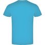 Roly Braco turquoise