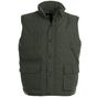 B&C Collection Explorer olive